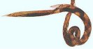 Further reports of monepantel resistance