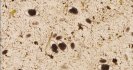 Use refugia to prolong drench life