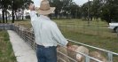 Choosing drenches