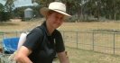 Sheep drench figures - a recent snapshot