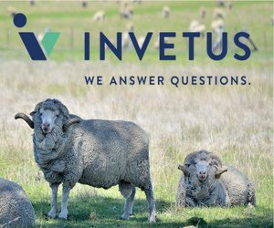 Figure 1. Invetus is the merger of Veterinary Health Research and VetX