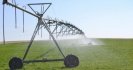 Worm control under irrigation in Tasmania