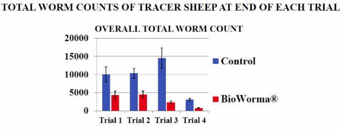 Figure 1. Total worm counts of tracer sheep at the end of each trial. 