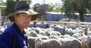 Don Perkins, Dirranbandi, QLD