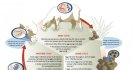 New national survey of sheep roundworm drench resistance reveals staggering levels of resistance to market leading drench