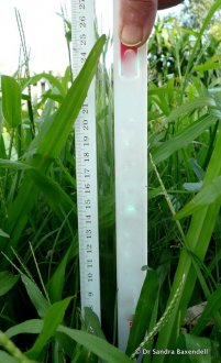 Figure 2. Infective larvae are not often present above 15 cm, most are found below 5 cm where the humidity is higher. Source: Dr Sandra Baxendell.