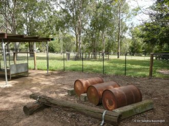 Figure 5. Climbing play equipment for goats in a feedlot. Source: Dr Sandra Baxendell.